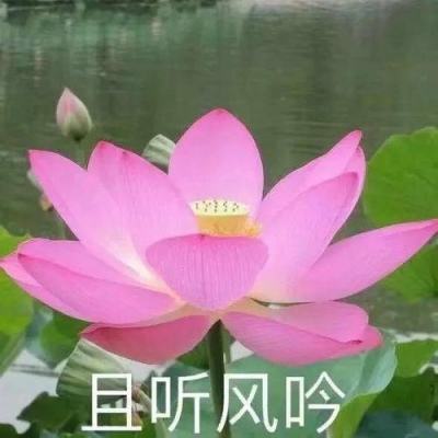 【境内疫情观察】广东新增28例本土病例（3月2日）
